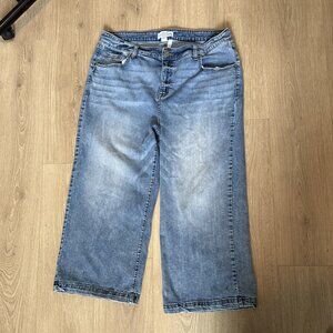 Lane Bryant Wide Leg Jeans